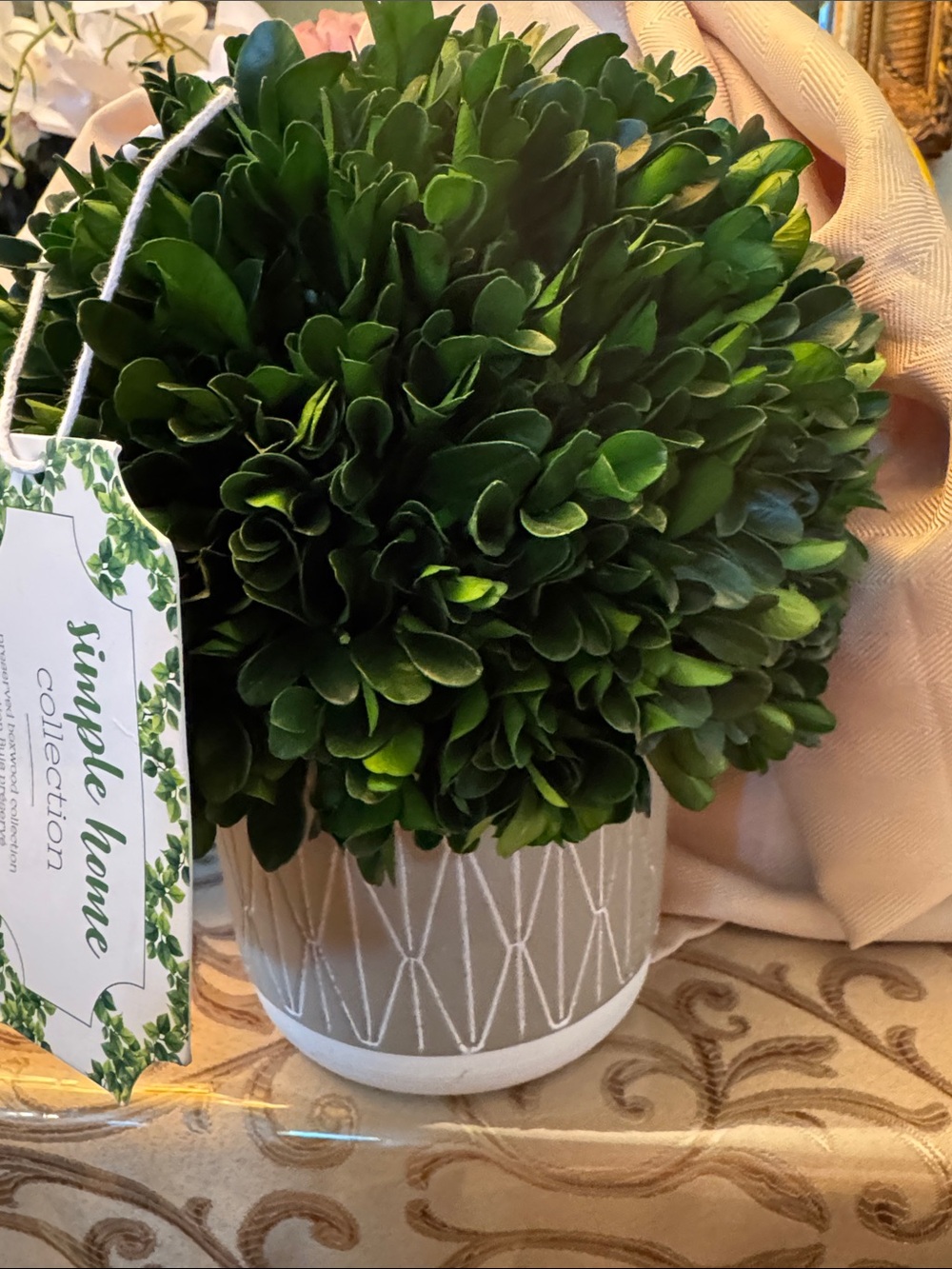 Green Real Boxwood Topiary 9.5”tall, 7.5”diameter bush in ceramic Pot 4”-4.5”
